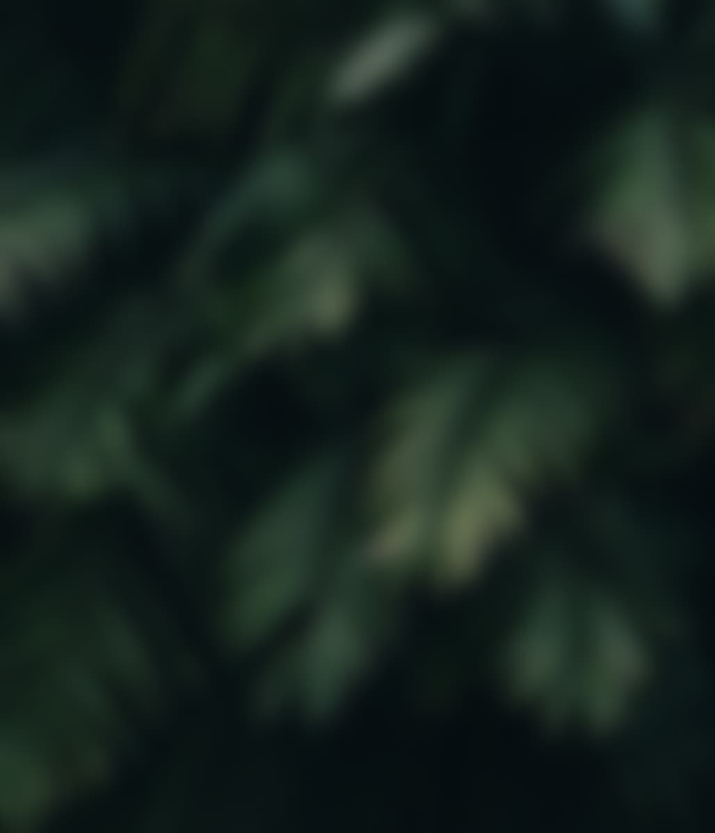 Contact background